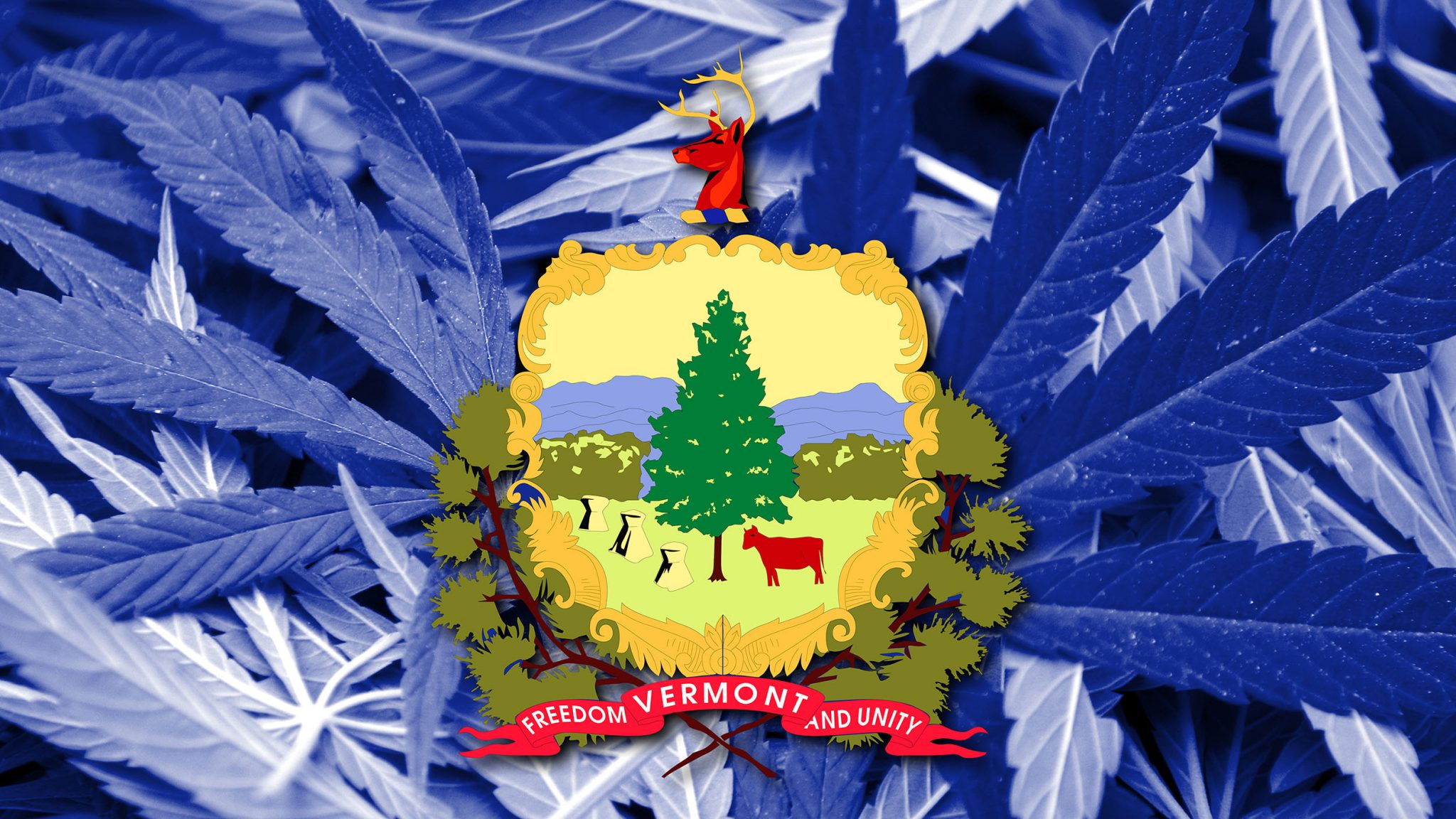 Best Dispensaries In Vermont: Where To Buy Medical Marijana In Vermont